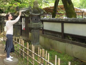 pieonrozen-tentoonstelling