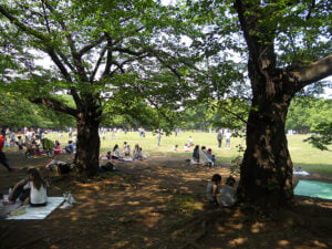 yoyogi-park